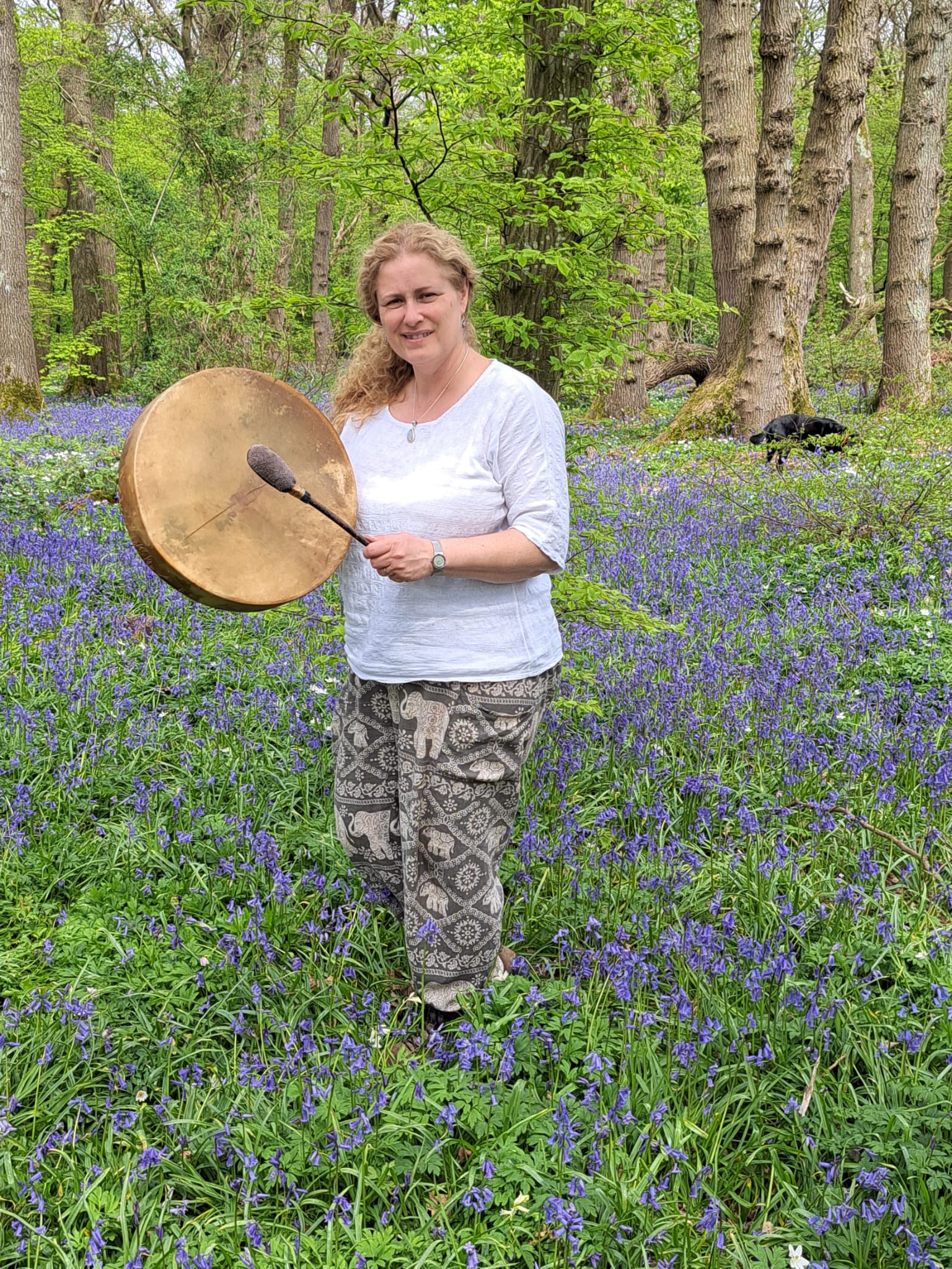 Sandra Radiance Holistic Therapies
